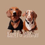 HARVEY + WINSTON - @thestorysnags - Instagram