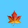 Harvey_winston - @havey_winston05 - TikTok