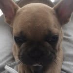 Harvey Winston Jr. - @harveywinstonjr - Instagram