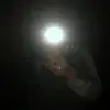 FUCK LIVERPOOL - @harveywise7 - TikTok