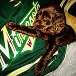 Harvey Wise - @harveyw16 - Instagram