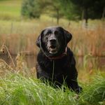 Harvey Wise - @hardguy64 - Instagram