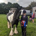Harvey Wiseman - @harveywiseman746 - Instagram