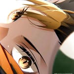 Harvey Wu - @wuharvey12 - Instagram