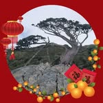 Harvey Wu - @harveywuxp2 - Instagram