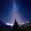 HARVEY WU - @harvey.wu2 - TikTok