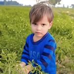 hasan Asad - @asad_khan_8865 - Instagram