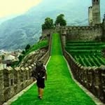 Hasan Assaf - @assaf5114 - Instagram