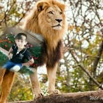 Hasan Assaf - @hasan.assaf.587 - Instagram