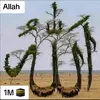Hasan Mirza - @hasan.mirza23 - TikTok