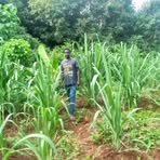 Hasan Muhammad - Facebook