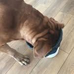 @hasa.ntaylor - Instagram