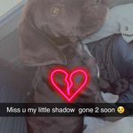 Hasan Taylor - @hasantaylor1 - Instagram