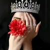 Haseebrahim - @haseebrahim - TikTok
