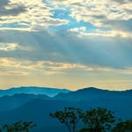 Hasham Khan - @houseofnature_1 - Instagram