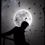 haSham khan - @hashamkhan848 - Instagram
