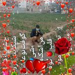 Hashem Ebrahimi - @hashem.ebrahimi.96 - Instagram