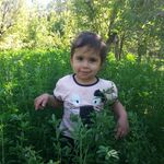 hashem ebrahimi - @hashemebrahimi9 - Instagram