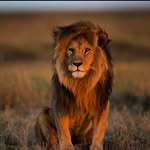 hashmath - @hashmath_khan99 - Instagram