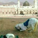 hashmath khan - @adnanali0278 - Instagram