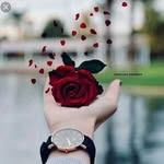 hasiba khan - @hasiba_khan07 - Instagram