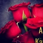 hasibe - @hasibeakin123 - Instagram