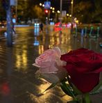 Hasina Patel - Facebook