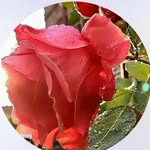 hasina patel - @hasina__patel__ - Instagram