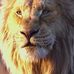 Hassan Ajami - Facebook