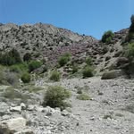 hassan ataei - @ataei7517 - Instagram