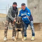 hassan.Ataei - @monika.damla - Instagram