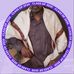 Hassan Dirie - Facebook
