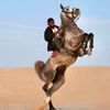 Hassan Hamdy - @hassan___422 - TikTok