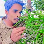 Hassan Ray - @hassanray437 - Instagram