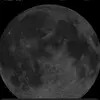 hassan wareaich - @hassan.wareaich - TikTok