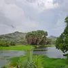 hatem ali - @hatem.ali784 - TikTok