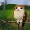 🏳️‍🌈🫷✝️ Tucker ✝️🫸🏳️‍⚧️ - @hate.me_idc - TikTok