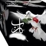 Hatem Moustafa Abd Alla - @hatemmoustafa79 - Instagram
