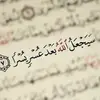 hatemmoustafa54 - @hatemmoustafa54 - TikTok