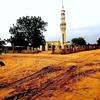 فرع الجوافه♥ - @hatimomar383 - TikTok