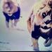 Hattie Barnett - Facebook