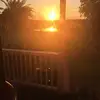 Hattie Dewberry - @hattiedewberry - TikTok