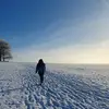 craddock - @craddock - TikTok