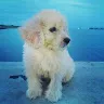 Hattie Morgan - @hattiemorgan - TikTok