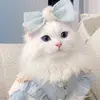 Hattie Grace - @hattiegrace21 - TikTok