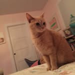Hattie Elizabeth Holman - @hattieandbailey - Instagram