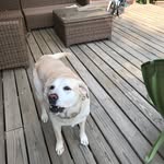 Hattie Holman - @olivia_janeandhattie - Instagram