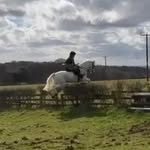 @hattie_hunt_eq - Instagram