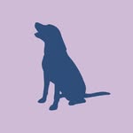 Hattie Hunts | Antique & Vintage - @hattie_hunts - Instagram