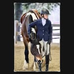 Hattie the horse girl - @hunt.seat.hattie - Instagram